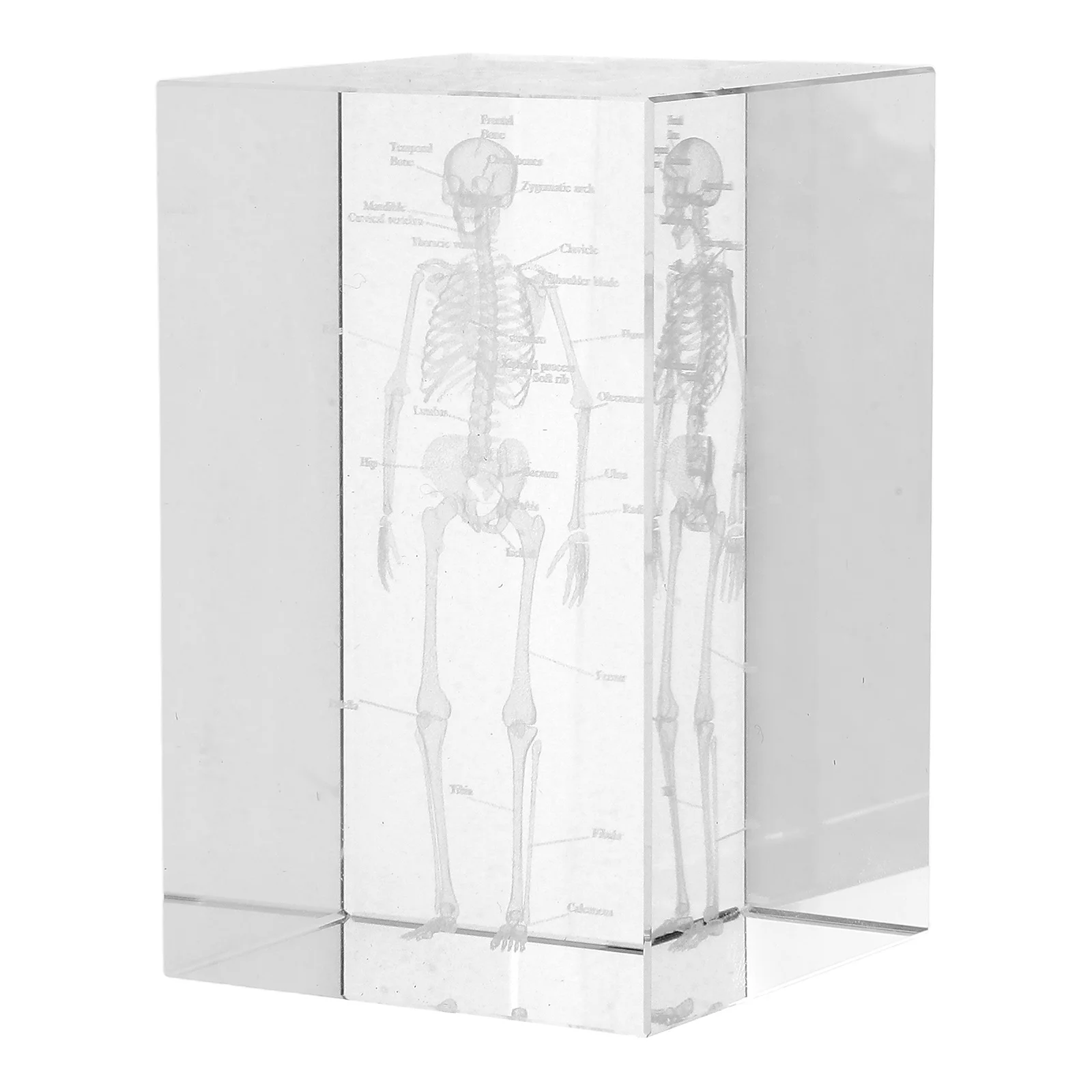 

3D Crystal Human Anatomical Cube Internal Engraving Display Paperweight Education Tool Science Decor for Home Office