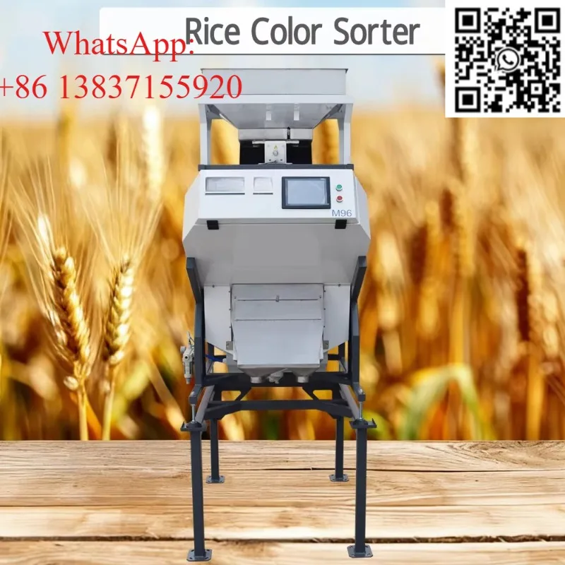 

Custom Commercial Color Sorting Machine Coffee Bean Cocoa Nuts Rice Grain Hazelnut Walnut Olive Seed Sorter