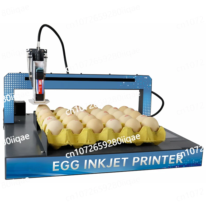 Automatic bulk egg printer date batch number continuous egg inkjet printer code