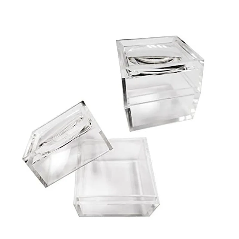 Insect Specimen Transparent Plastic Magnifying Jewelry Display Box