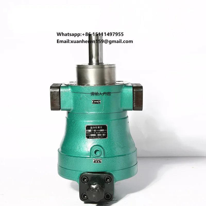 

160SCY14-1B Axial Plunger Pump Manual Variable Pump Hydraulic Pump
