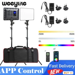 Weeylite Sprite 20 1/2PCS RGB LED Light Panel 30W Video Camera Lighting Kit 2500K-8500K APP Control Panel Photography Light