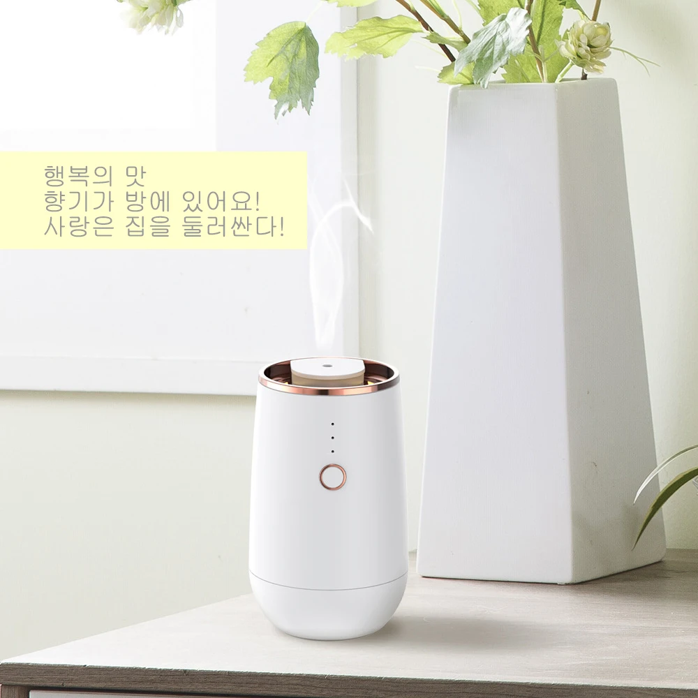 Cute Cool Mist USB Nebulizer Air Essential Oil Diffuser Custom Luxury Waterless Aromatherapy Machine 10ml for Car Home Office