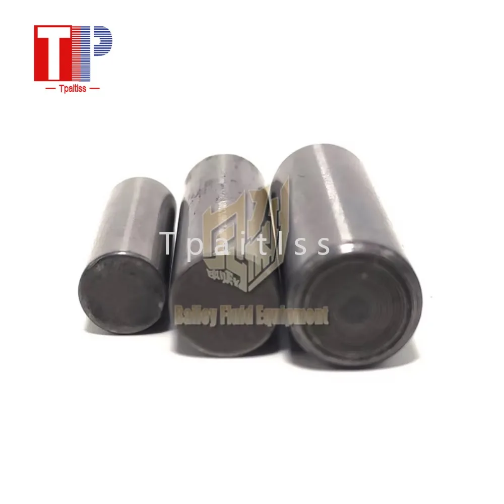 Tpaitlss Airless sprayer pump accessories connecting rod  pump 196762 176818 183210 19B144 for GRC 490 695 795  1095 7900