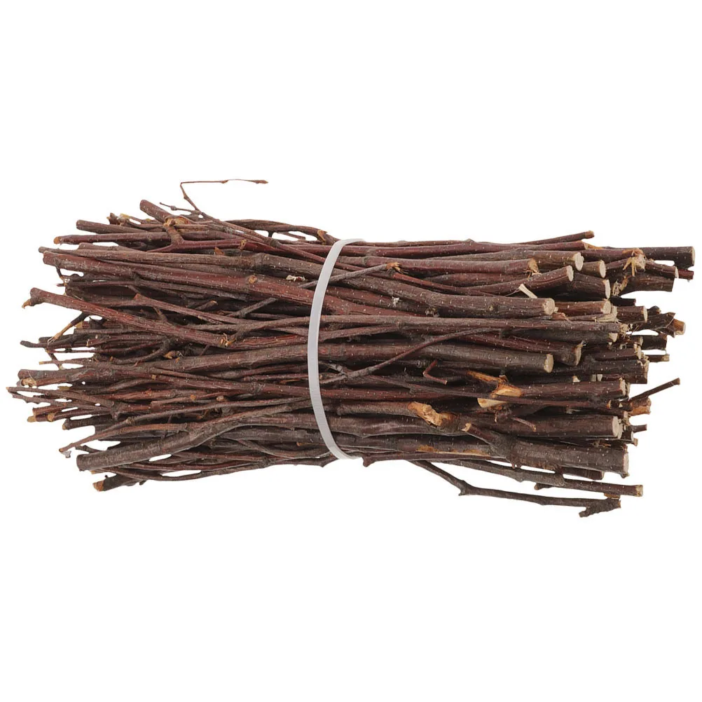 

1 Bundle Unfinished Birch Wood Sticks Natural Twigs for DIY Crafts Handicrafts Beach Theme Party Wedding Decor Materials