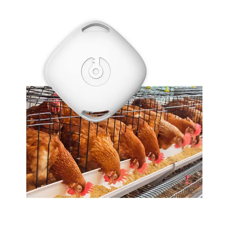 

SigmaWit New Design Iot Reptile Temperature Sensor Blue Tooth Pet Thermometer Chicken Coop Thermometer