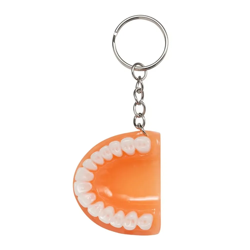 

Portable Resin Key Chain Dentist Pendant Simulation Mini Denture Keychain for Bag Hanging Ornament Car Key Rings Gifts