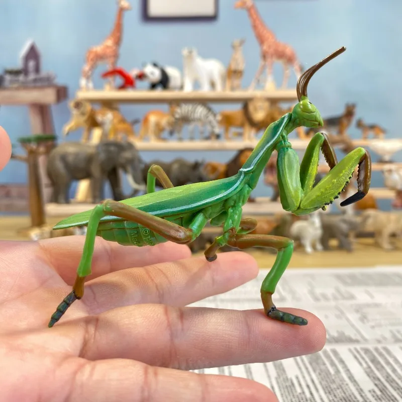 

Mantis Model Flying Insects Big Knife Mantis Fist Dragon Toy Pendant