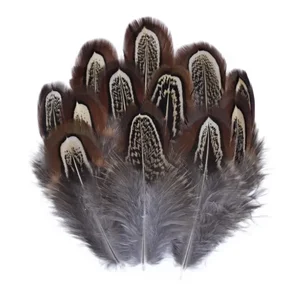 ريش الدراج الطبيعي بالجملة الطاووس ريشة النسر إكسسوارات صغيرة حرفية مجوهرات خلق حزب الديكور أعلى 6 مبيعات من ريش الصقر - رقم 3