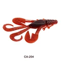 CA204