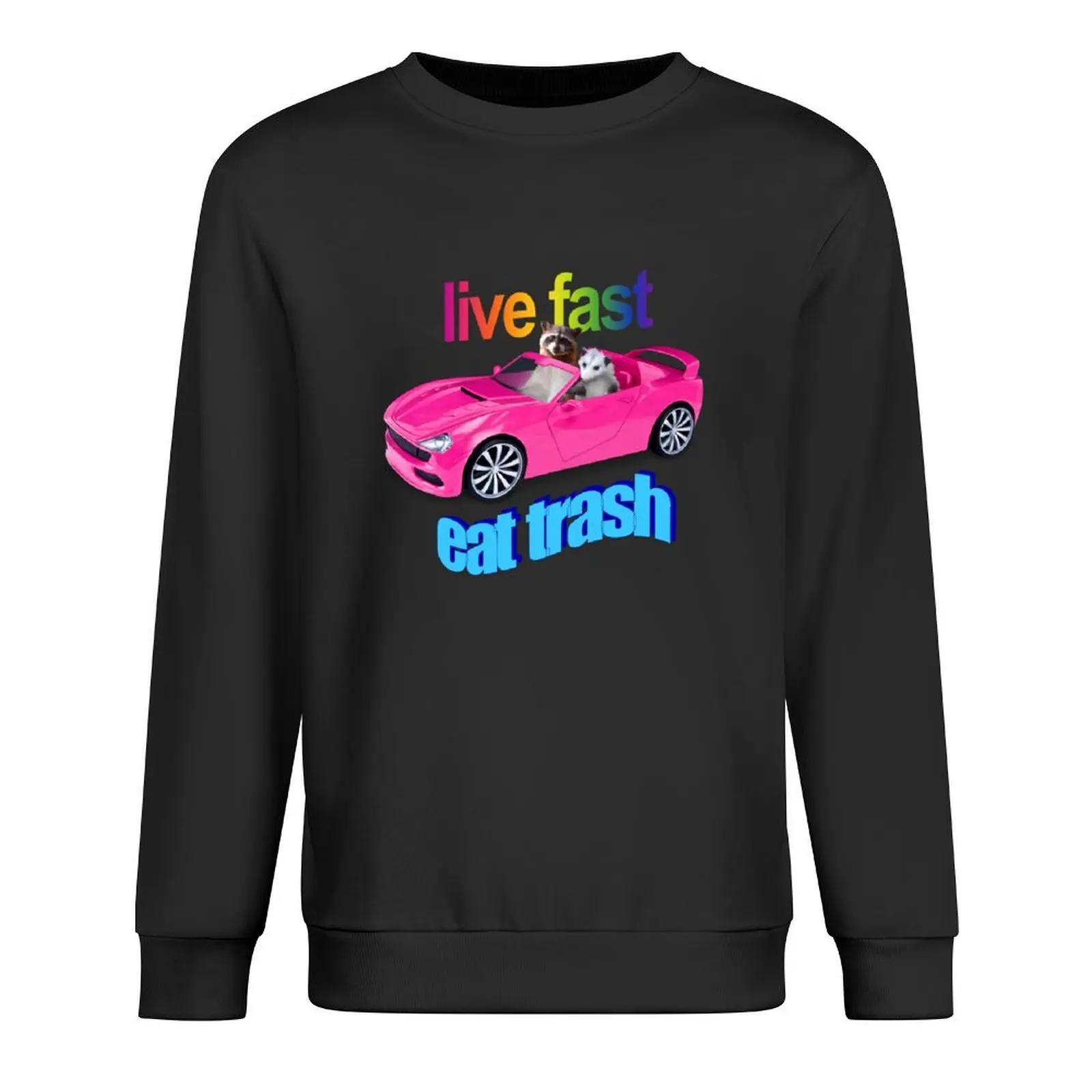 

Life fast, eat trash raccoon possum word art Pullover winter clothes autumn new products tracksuit men pullover