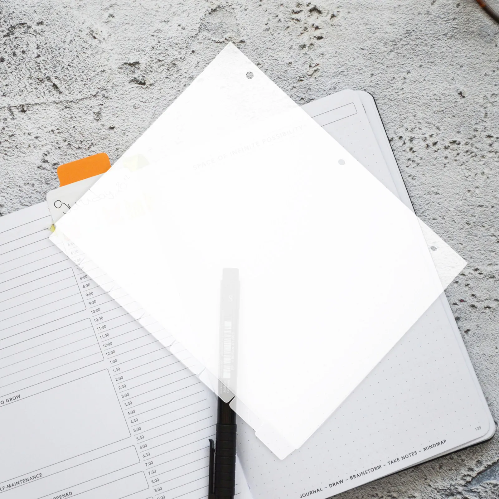 8Sheets Plastic Binder Dividers Notebook Tabs Index Page Markers for School Office Small Business Supplies 3 Ring Binder