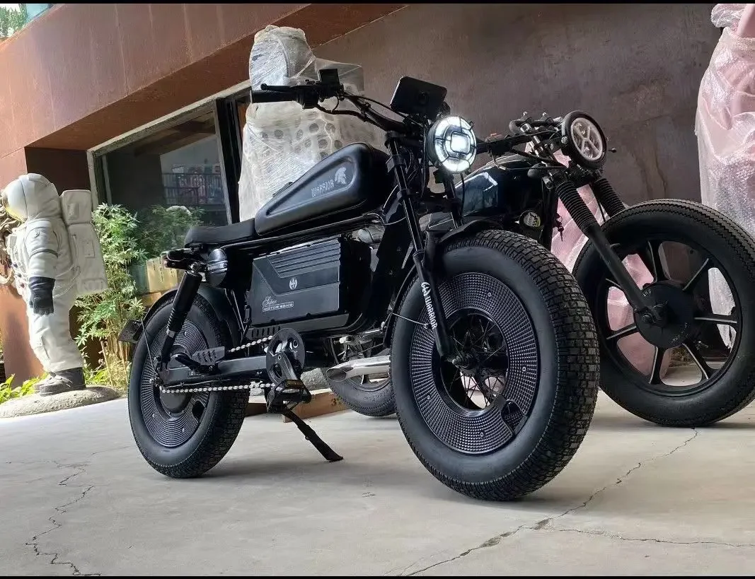 DEEPPOWER 電動アシスト自転車 ブラック Zpw-大人用の黒い戦士電動自転車,20インチ電動自転車,ワイド