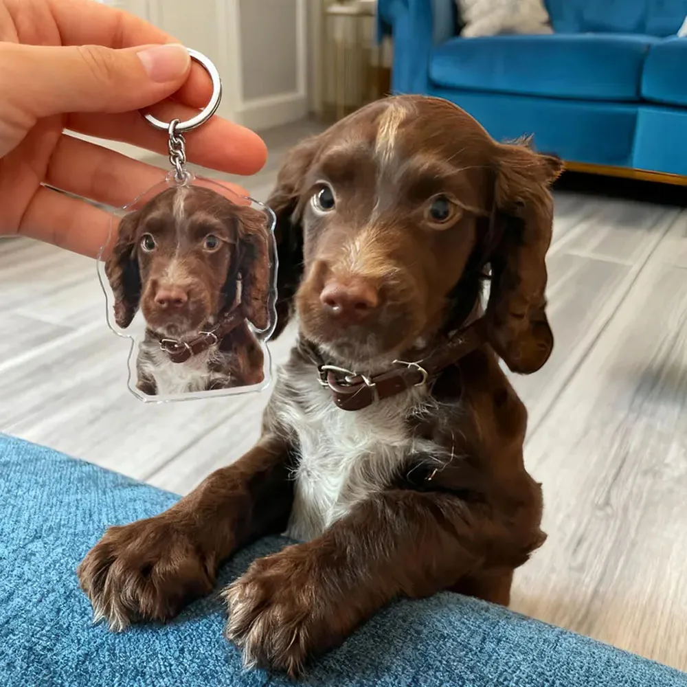 

5/10/15 шт. Брелоки с индивидуальной печатью фото собак и кошек, персонализированные акриловые брелоки, брелоки с логотипом на заказ, семейный памятный подарок