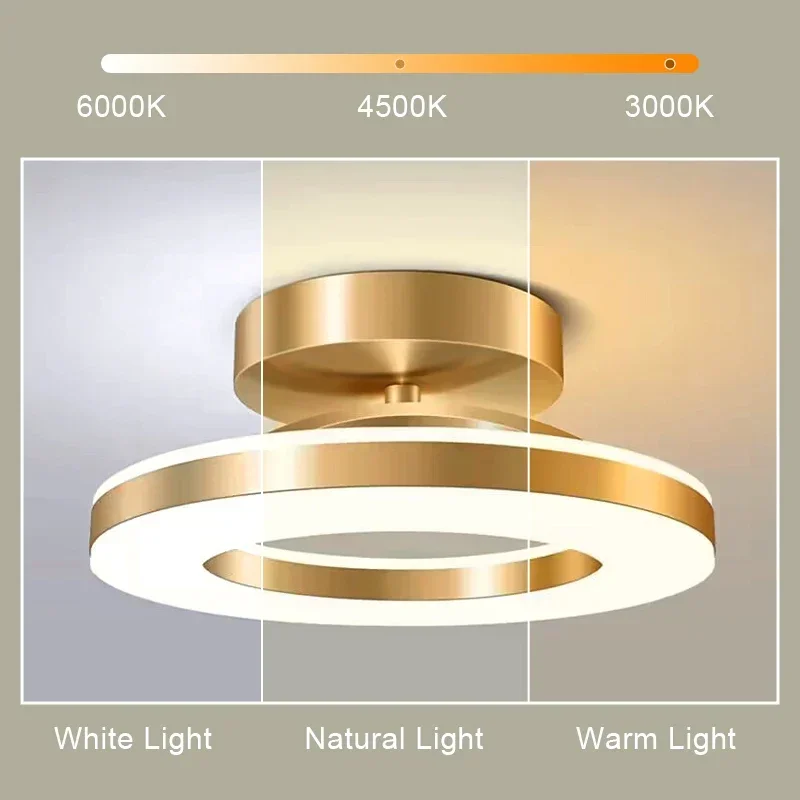 Modern Modern LED Ceiling Lamp Indoor Lighting Home Decoretion For Bedroom Dining Table Living Room Balcony Corridor Ceiling Light - Aliexpress Deal
