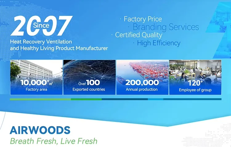 Airwoods OEM ODM Erv Hrv Energy Recovery Ventilation