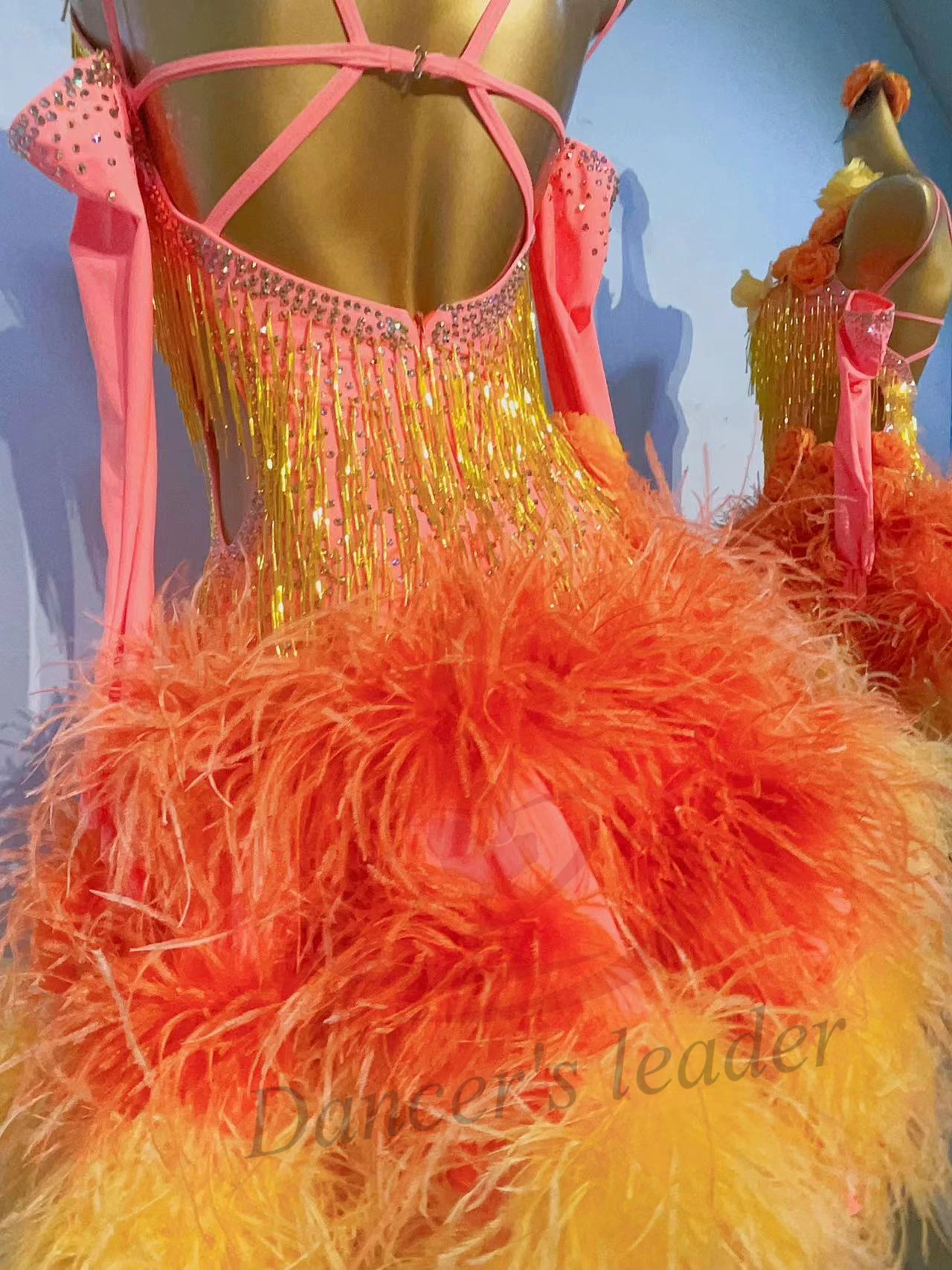 Abito professionale da ballo latino Abbigliamento professionale da palcoscenico standard da donna con coda soffice bicolore personalizzato di fascia alta