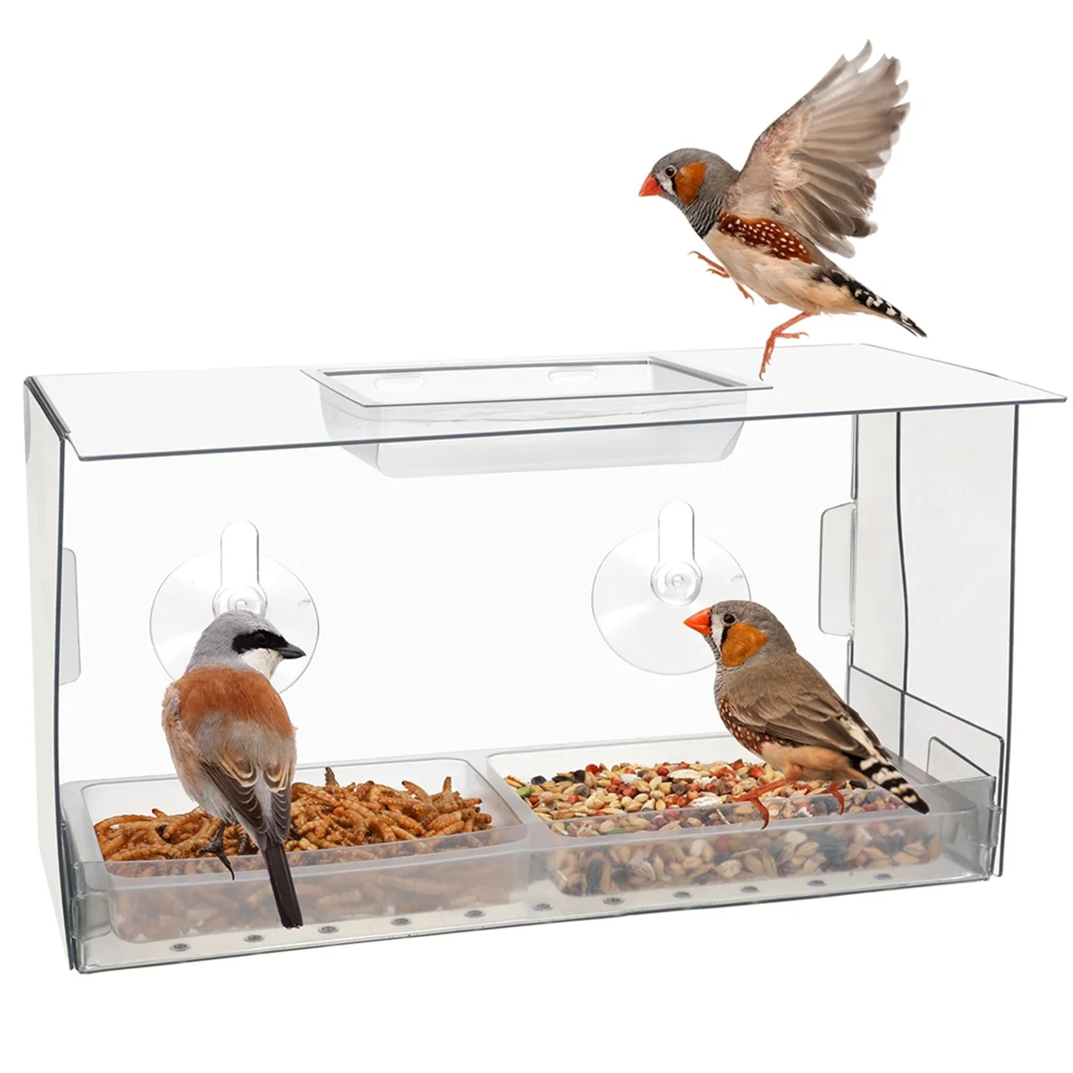 Window Bird Feeder. Birds Feed Undisturbed Whilst You Watch. Innovative Window Bird Feeders with Strong Suction Cups