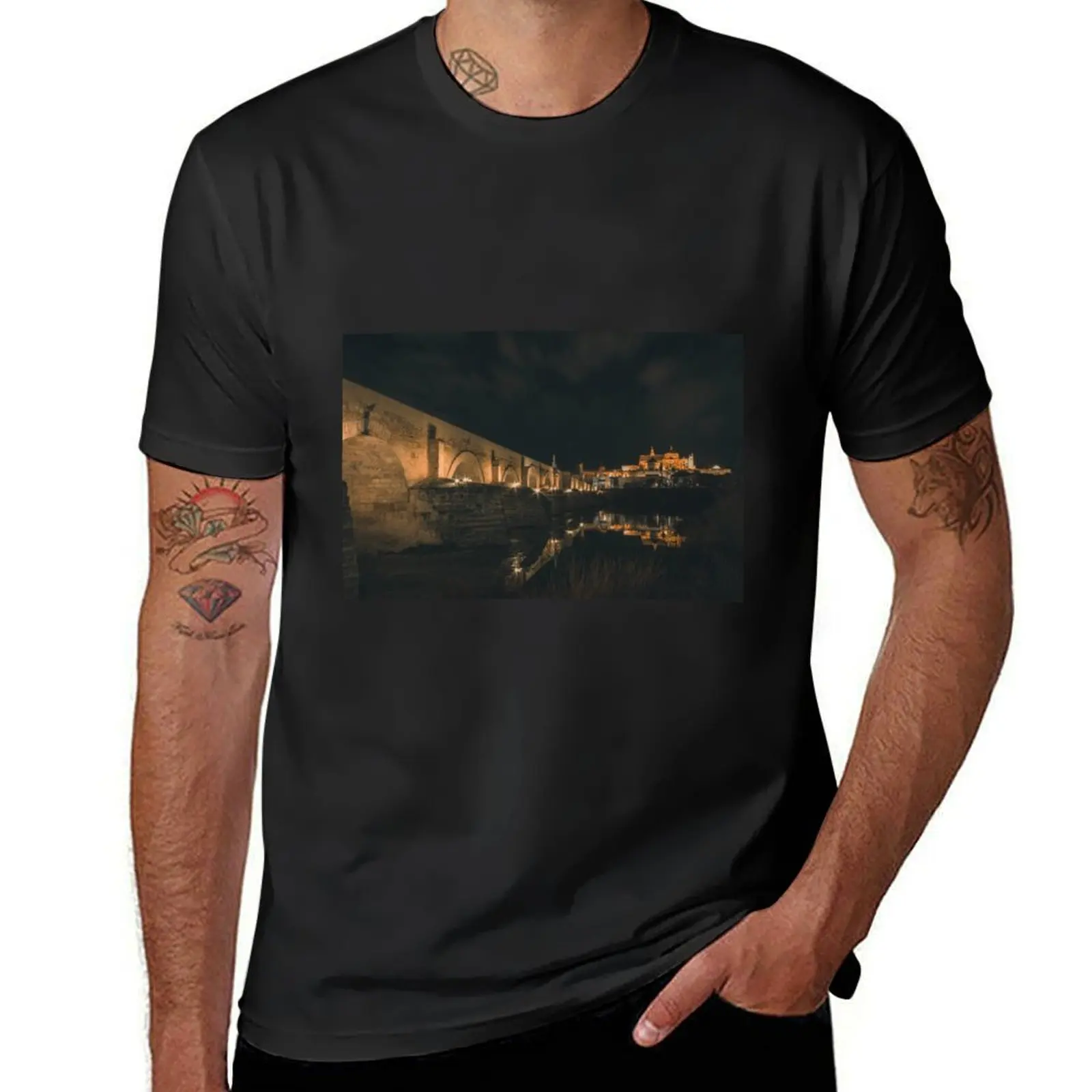 

Roman bridge of Córdoba T-Shirt funny meme t-shirts animal prinfor boys vintage anime shirt workout shirts for men