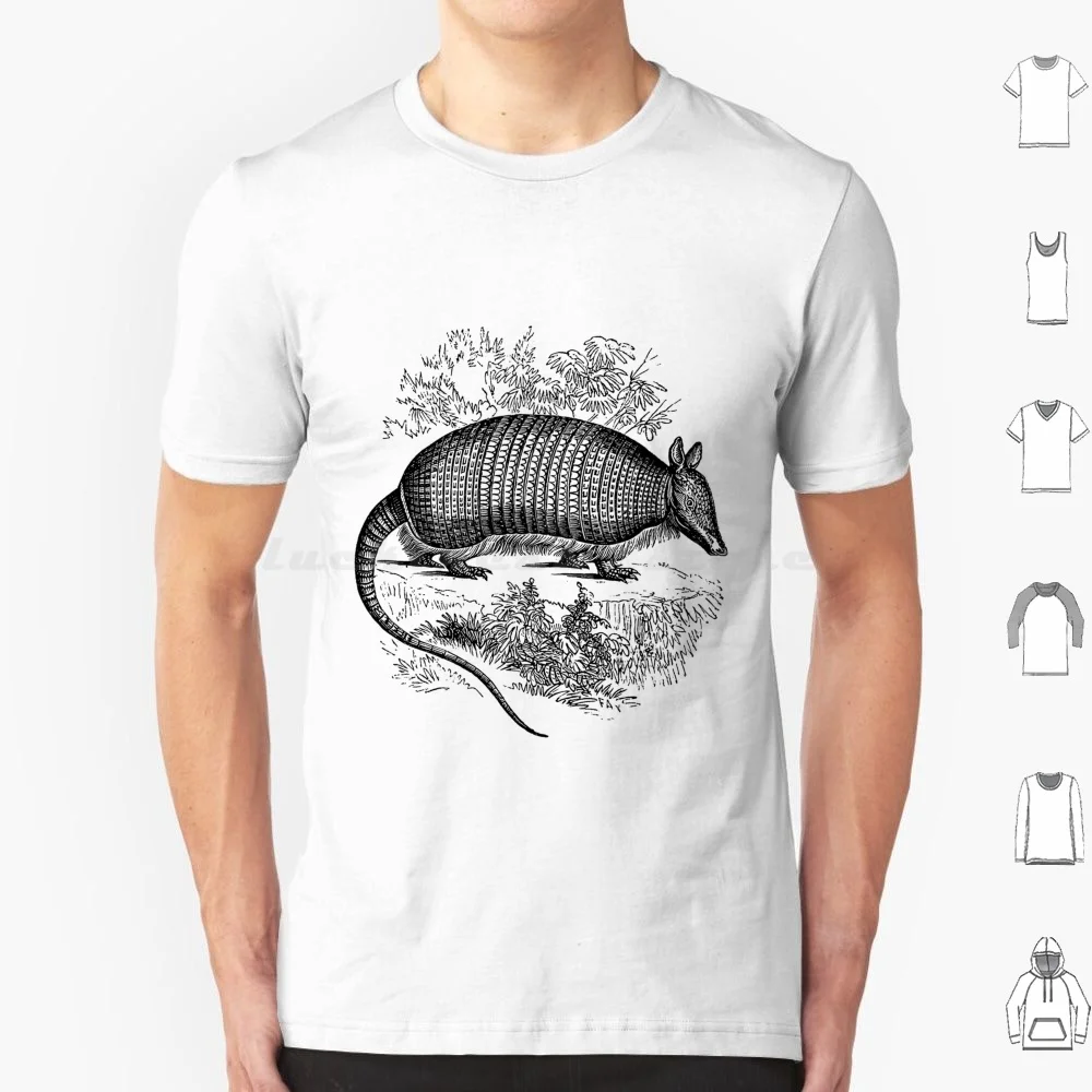 Vintage Armadillo I…