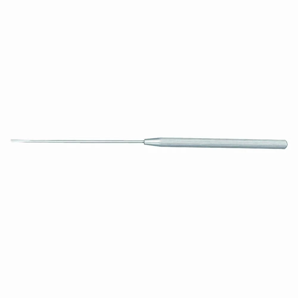 Otolaryngology Instruments Miniature Cerumen Hook 21 Head Middle Ear Microsurgical Instruments 2nd