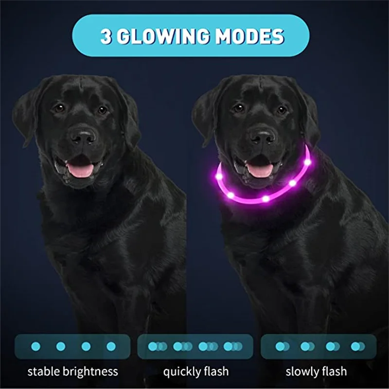 LED Glowing Dog Collar USB Rechargeable Luminous Light Up Dog Collars, Flashing Lights for Puppy Small Medium Large Dogs&Cats