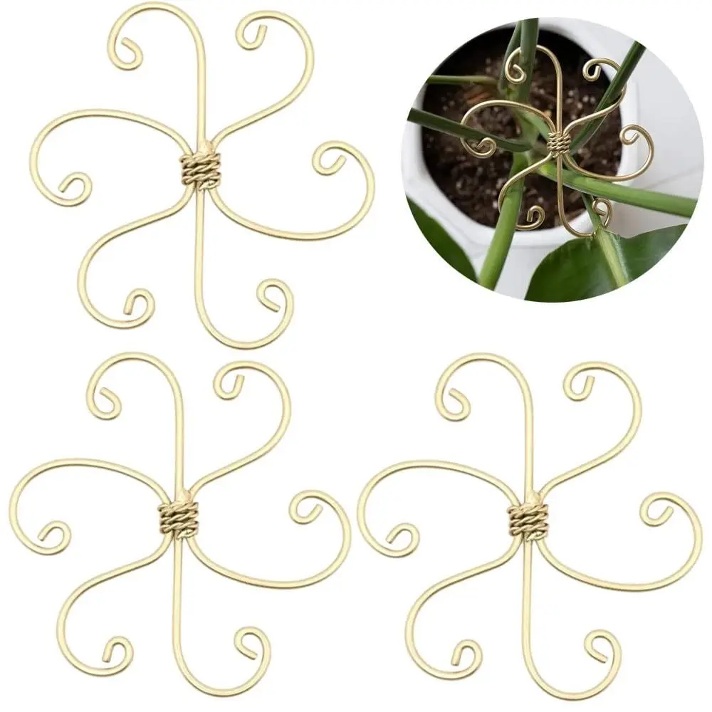 

Heart Shape Plant Stem Support 14.6inch Iron Climbing Houseplant Stem Supports Universal Reusable Flower Plant Stem Hook