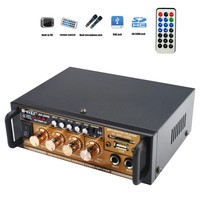 Sunbuck Mini 12v 220v 2.0 channel 50W power amplifier Home car computer professional Audio AV amplifier