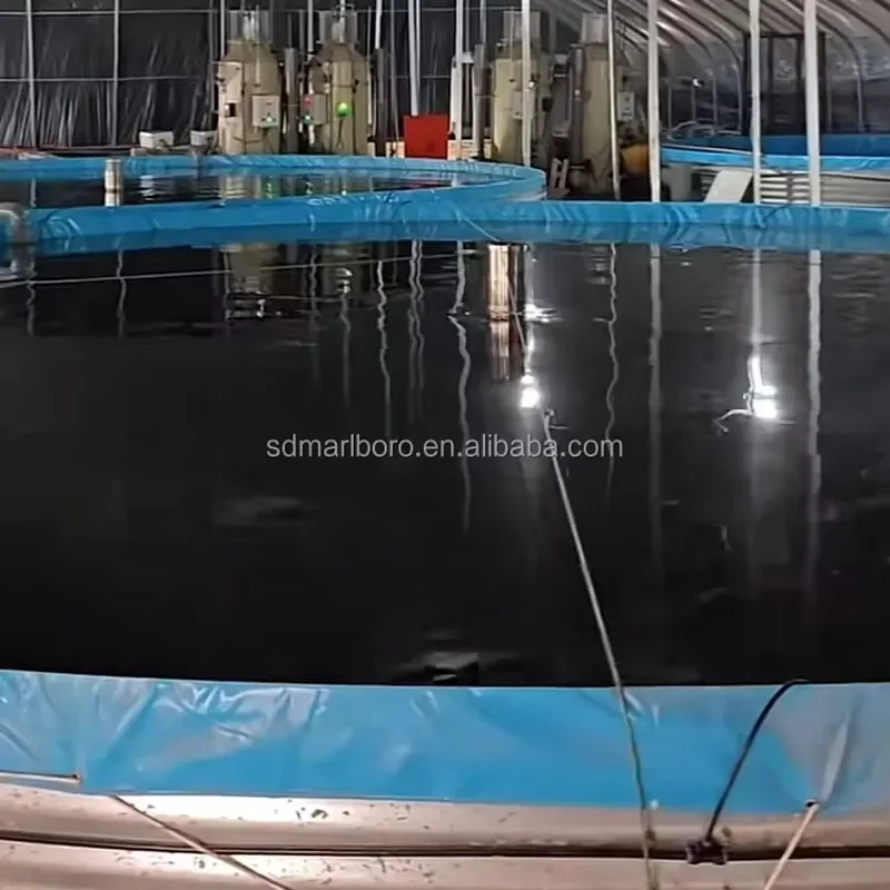 SDM High Quality Tilapia Indoor Fish Farming Equipment Recirculating Aquaculture System for Aquaculture Farming