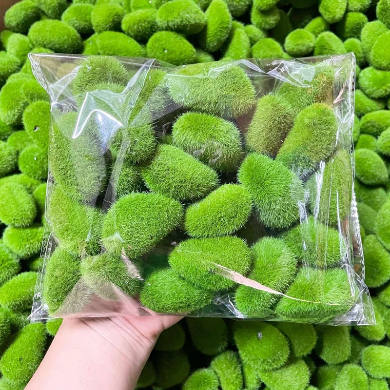 20pcs/bag Simulation Moss Fake - đánh giá và giá Preserved Moss Sheet