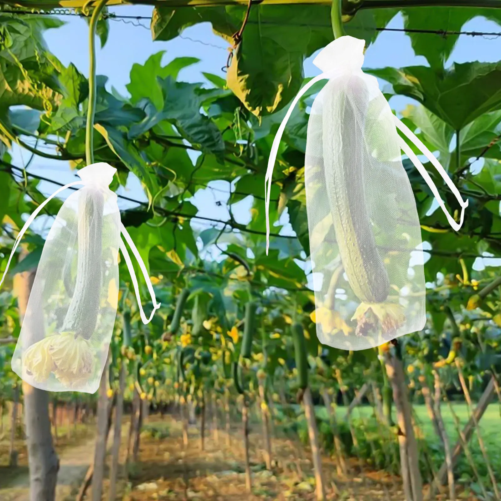 Mesh Fruit Bags 10*15CM Drawstring Fruit Bags Breathable Harvest Bags Reliable Barrier See-through For Orchards