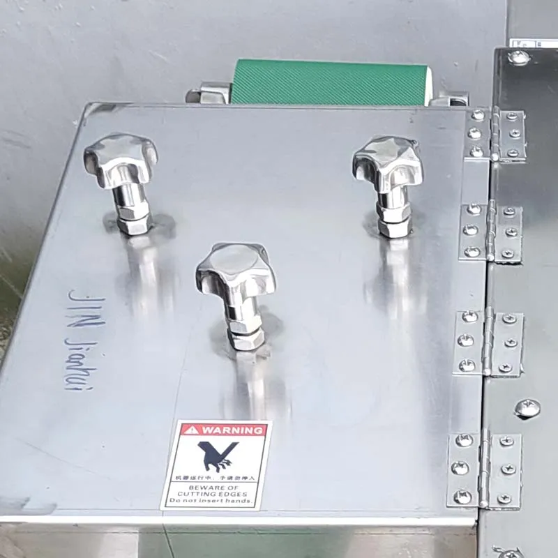 

750W Commercial Fresh Meat Dicer Machine Dual Motor High Efficiency Meat Processing Equipment