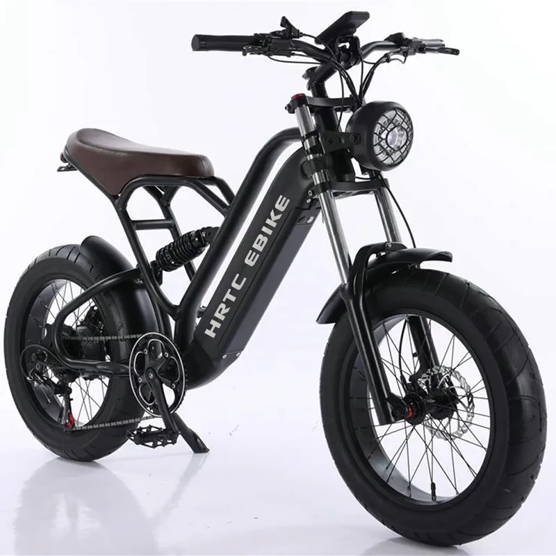 

20 inch snow fat tire electric mountain bike hidden lithium battery 48v off-road high-end power-assisted variable speed motorcyc