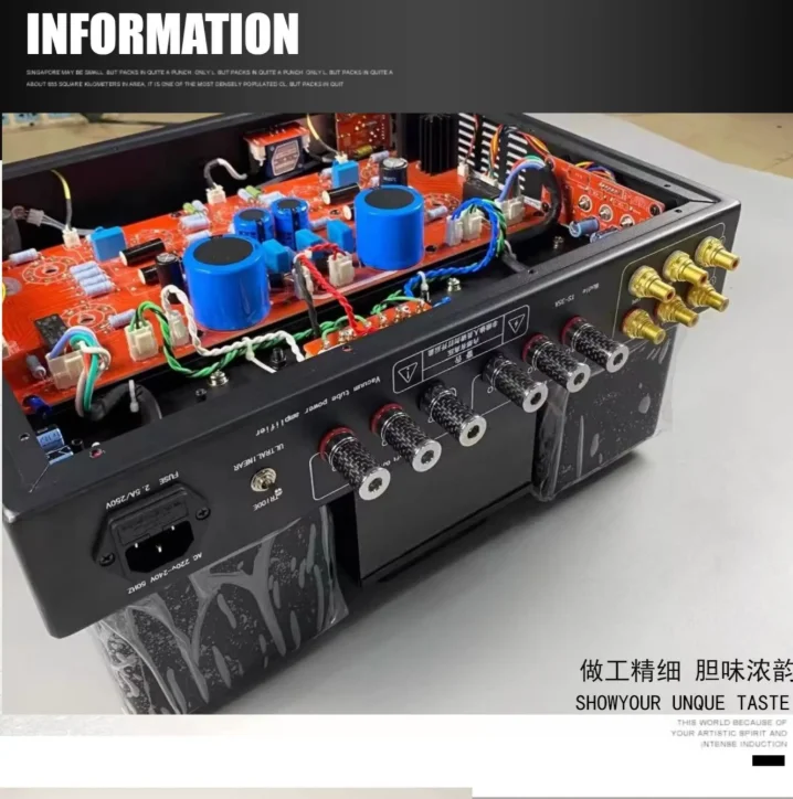 EL34 Push Pull Tube Amplifier DIY Kit HiFi Stereo Vacuum Tube Amp Audiophile Grade Build Your Own