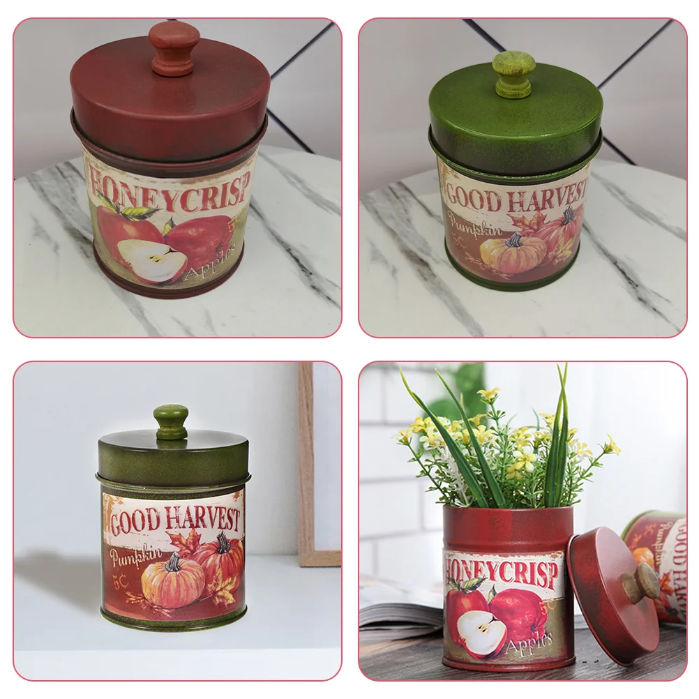 2 Pcs Storage Tin Bucket Vintage Cans Plants Decor Retro Flower Pots Iron Jar Cookie Canister Planters for Outdoor