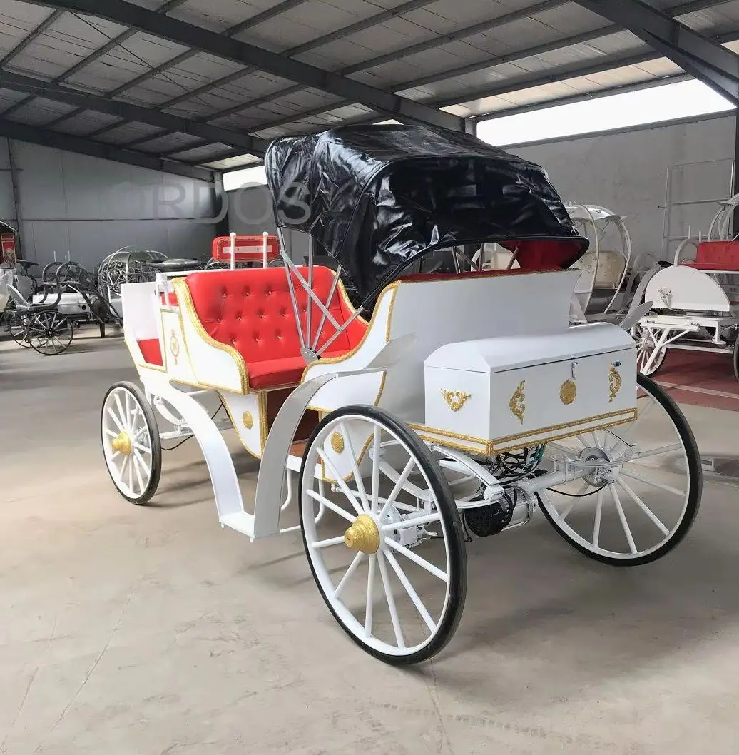 Carruagem desenhada de cavalo vitoriano/buggy de cavalo de casamento