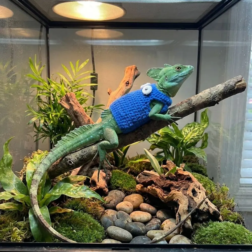 Reptile Costume Cute Lizard Transformation Dress Warm Handmade Reptile Cosplay Clothes Flexible Fit Frog Costume Small Animal