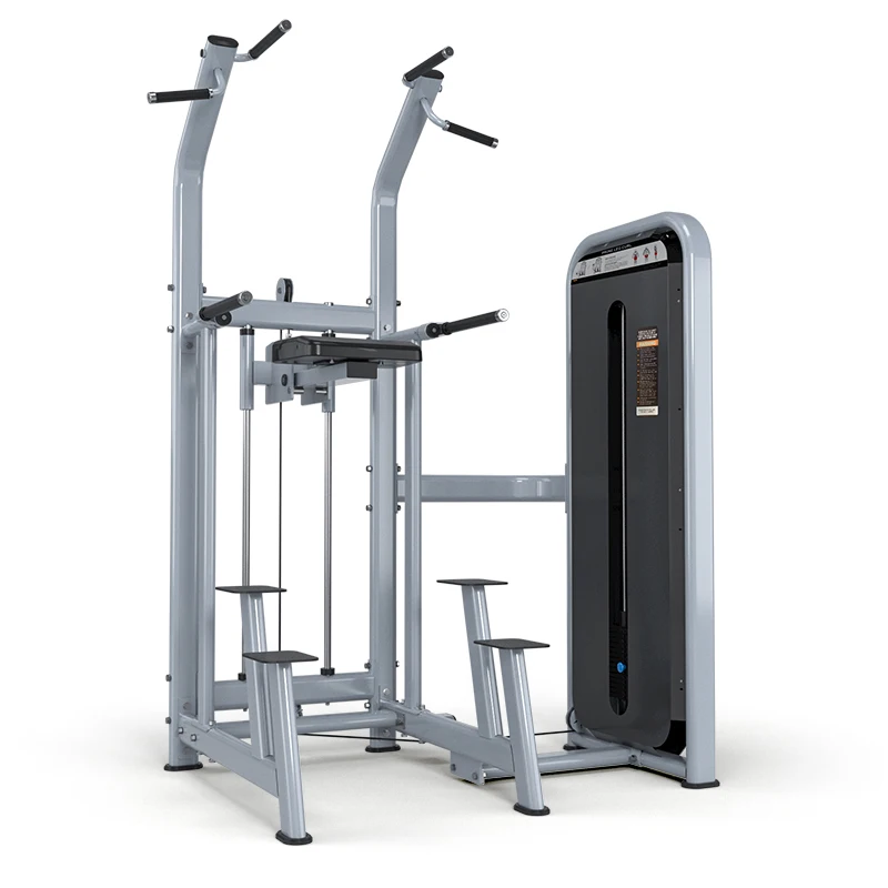 

NEW Design Pin Loaded Dip Chin Assist Equipment