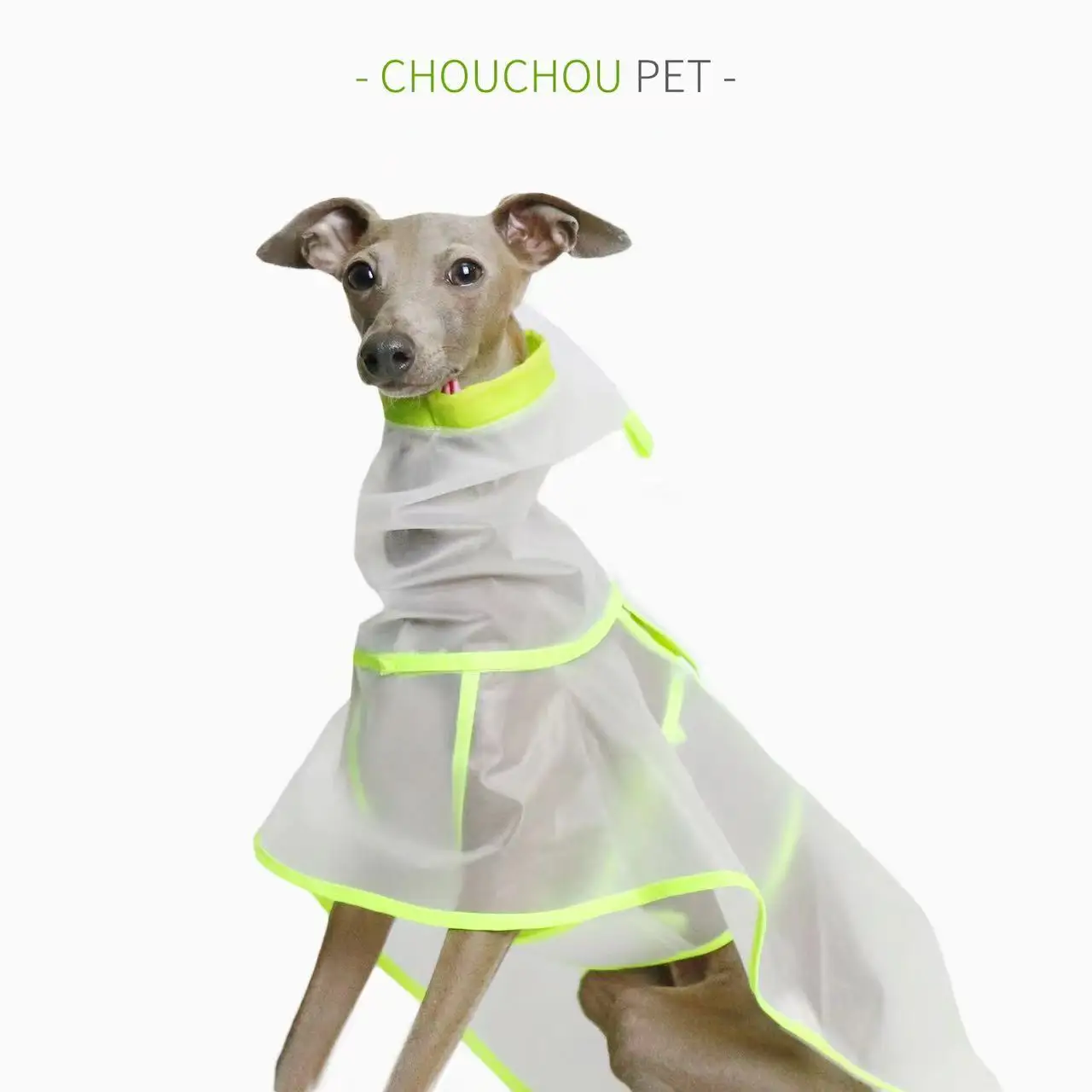 Italian Greyhound Whippet Raincoat Lightweight Iggy Colorful Waterproof, Rainproof, Windproof See-through Lightweight Raincoat
