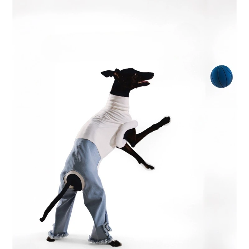 Autumn Winter White Turtleneck Suede Vest Splicing Blue  Jeans Trendy Fashion Onesie Pet Dog Clothing Whippet Italian Greyhound view 2