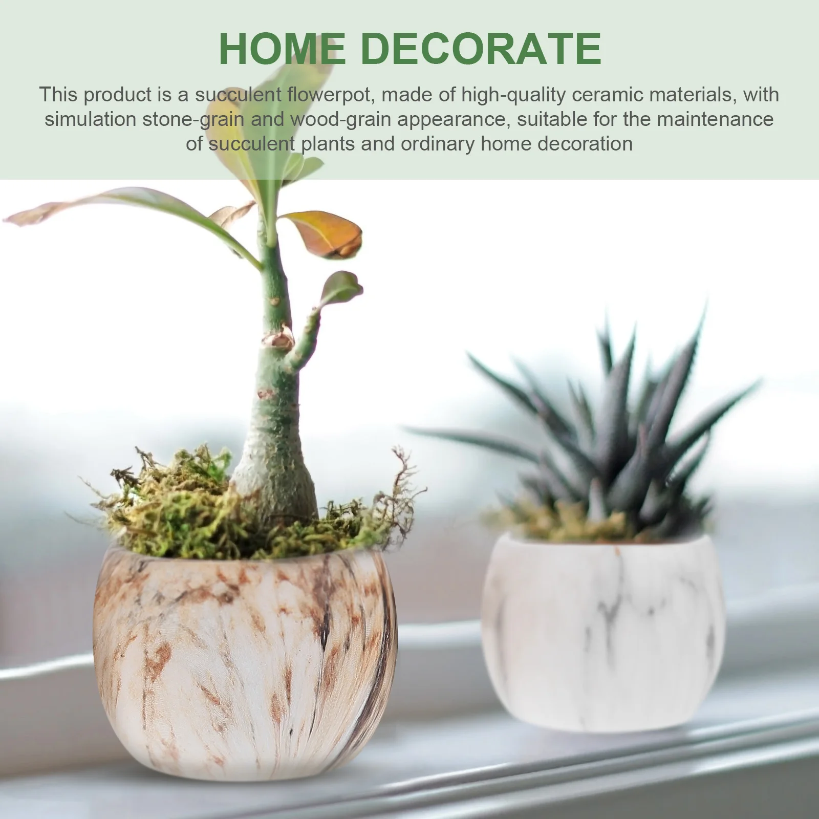

4 Pcs Ceramic Planter Adorable Succulents Flower Pot Pots Marble Grain Small Wood-grain