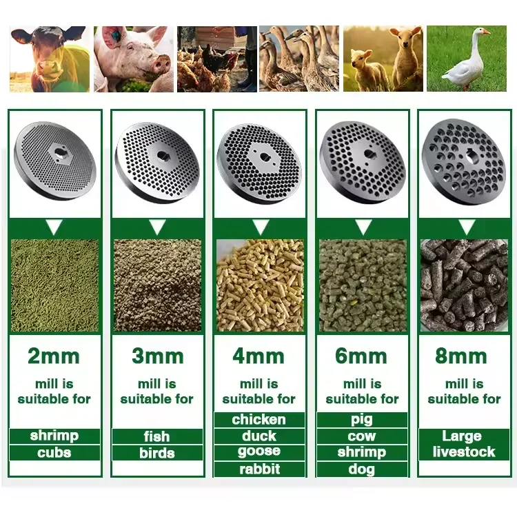 YYHC-Automatic flat mold granulator, feed processing machine plant processing feed granule machine