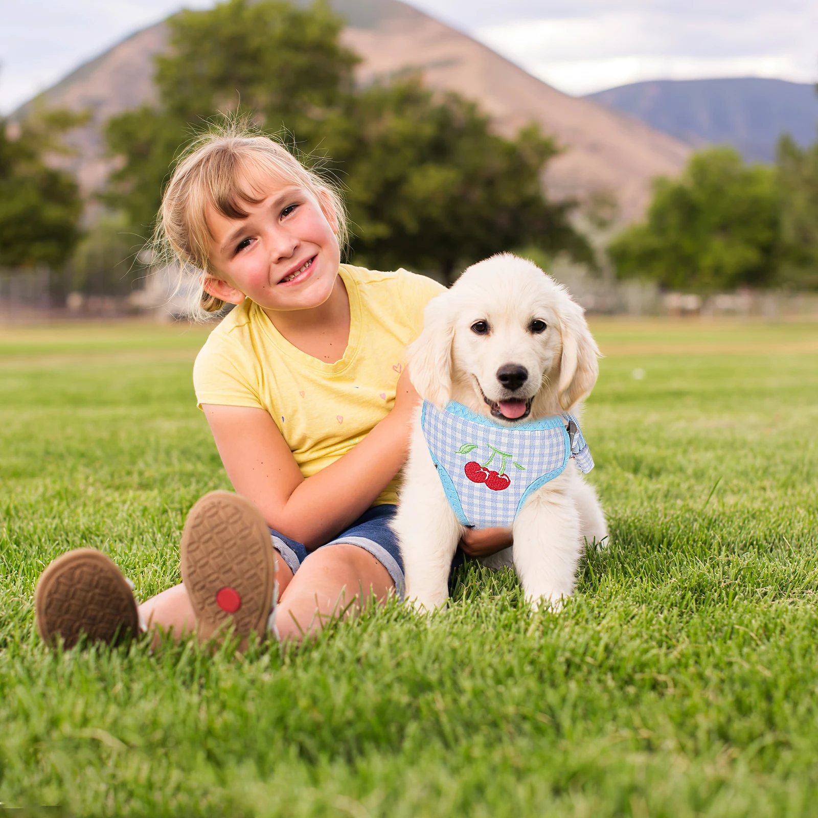 

2Pcs Small Dog Harness Backpack Set Cute Adjustable Puppy Harness Pet Vest Outdoor Dog Leash Pet Leash Backpack