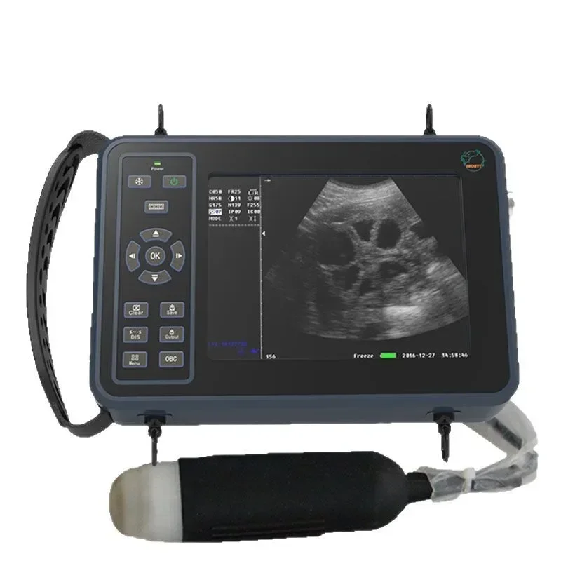 

Veterinary B ultrasound machine sheep and cattle pregnancy test instrument, animal husbandryt