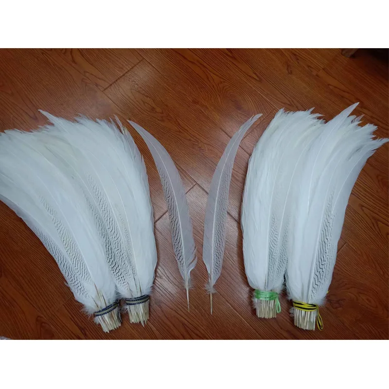 Wholesale Silver Pheasant Feathers Natural Long White Chicken Feather for Crafts Clothes Carnival Decor Wedding Party Decoration