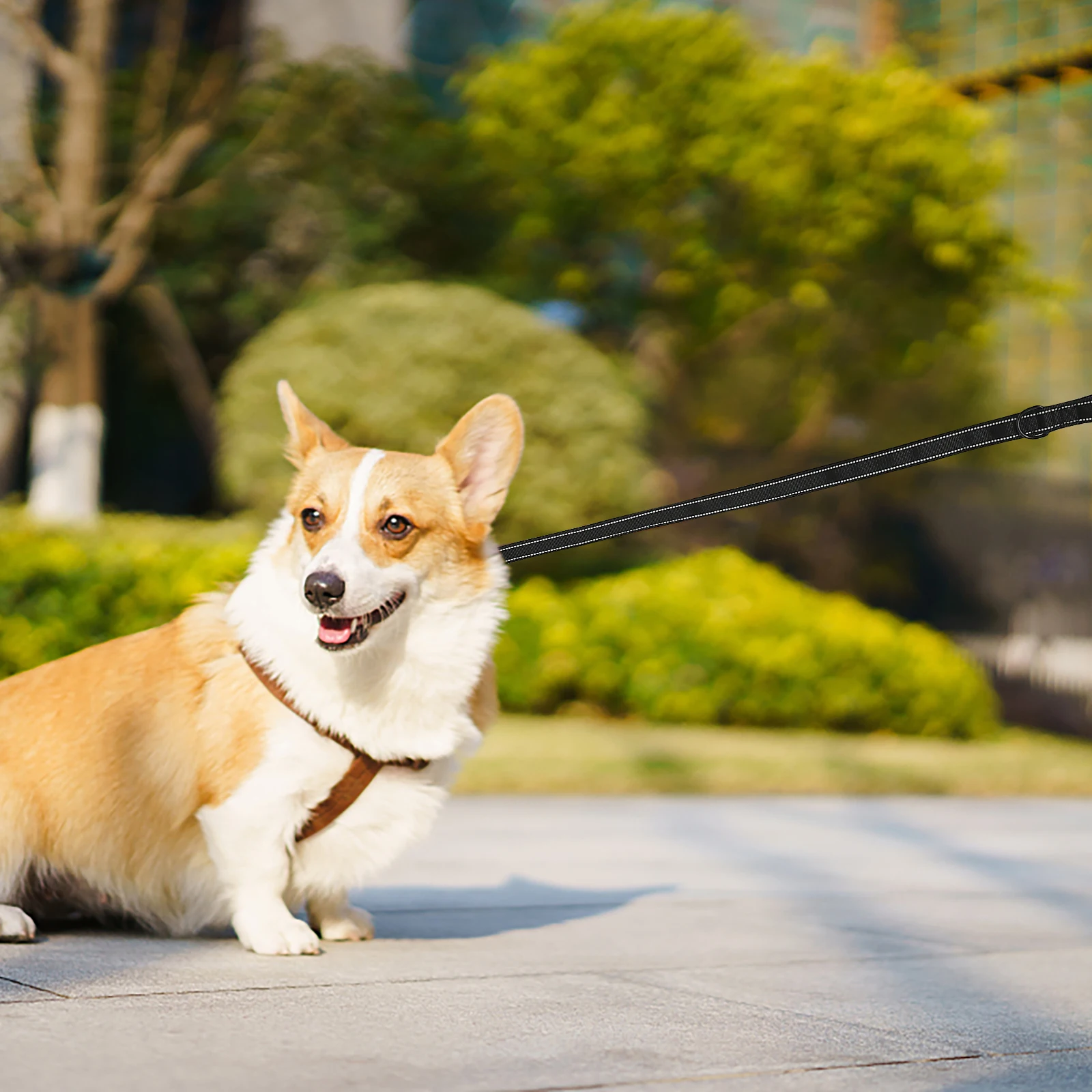 

Dog Leash Comfortable Rope Traction Traffic Handle Pulling Adjustable Walker Lead