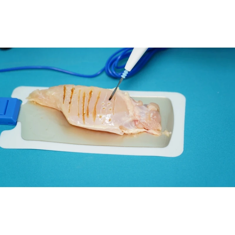 BPM BPM-ES109 Veterinary Electrocautery Machine – CE-Certified Cauterizer 4