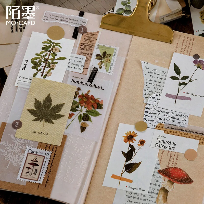 50pcs Vintage Beautiful Plant Retro Card Kraft Cards for Deco Stationery LOMO Cards Stationery Notepad Sticky Notes