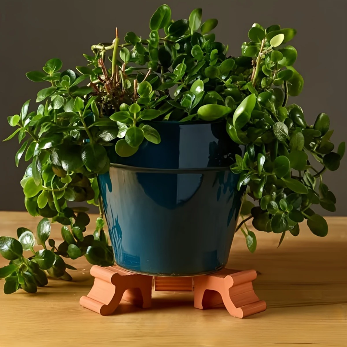 3pcs Flower Pot Stands, Plant Pot Feet Pads, Gardening Potted Plant Trays, Plant Pot Supports, Tray Stand to Provide Ventilation