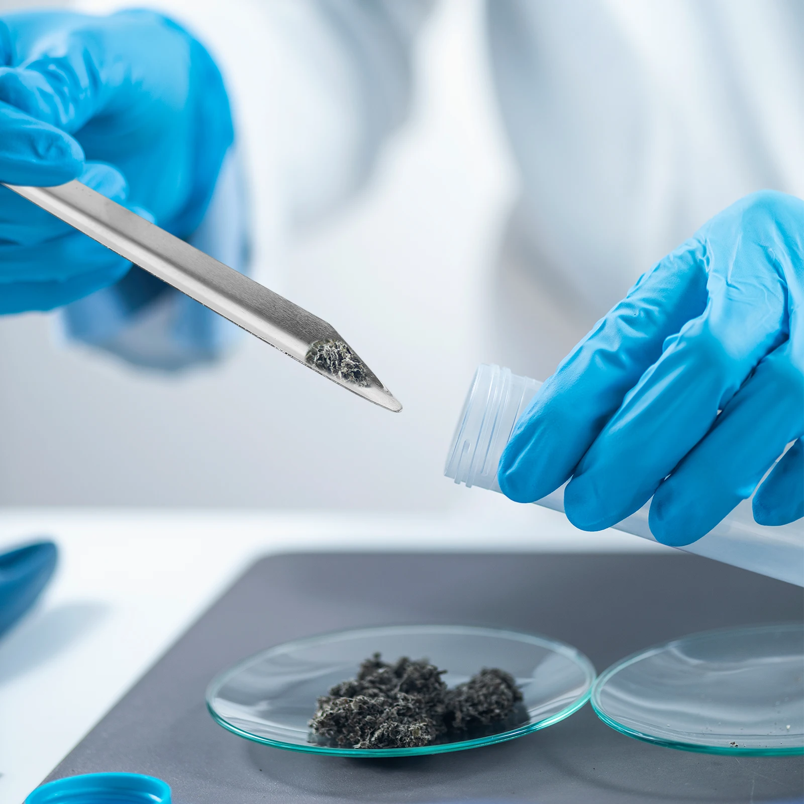 3Pcs Scoop Spatula with Pointed and Curved Ends for Mixing Transferring Powders Pastes in Science Labs